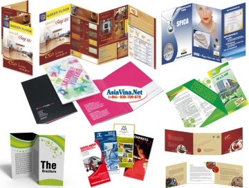 Thiết kế giá rẻ tại Phú Mỹ