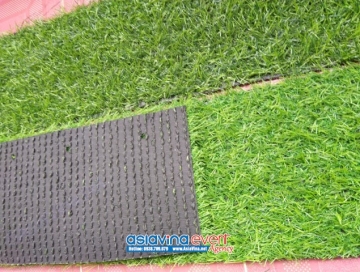 THANH LÝ THẢM CỎ NHÂN TẢO SÂN VƯỜN GIÁ RẺ TẠI BÀ RỊA VŨNG TÀU