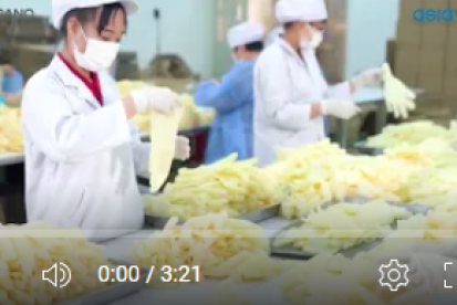 TVC | Găng tay HQ