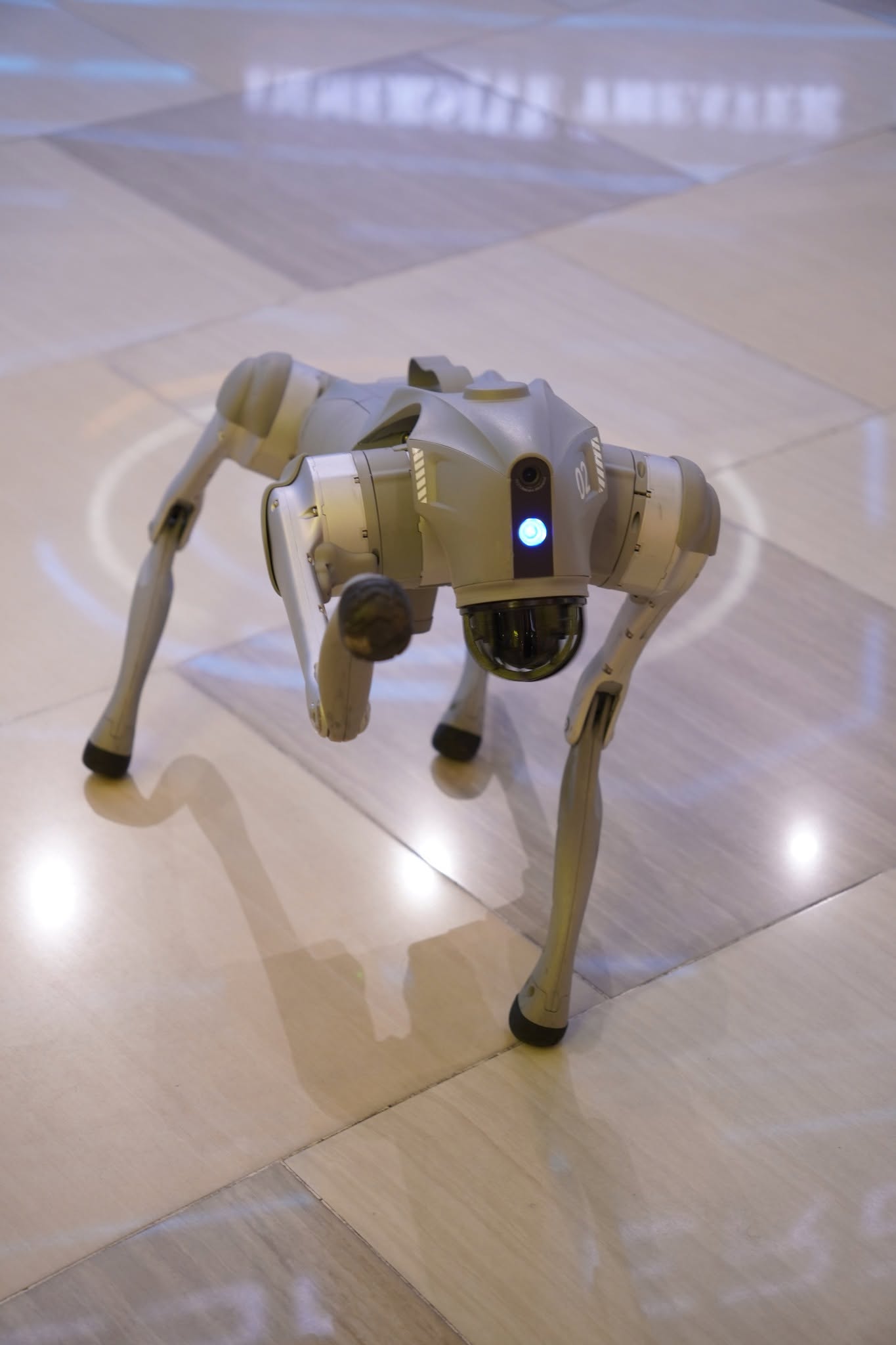 cho-thue-robot-cong-nghe-tphcm